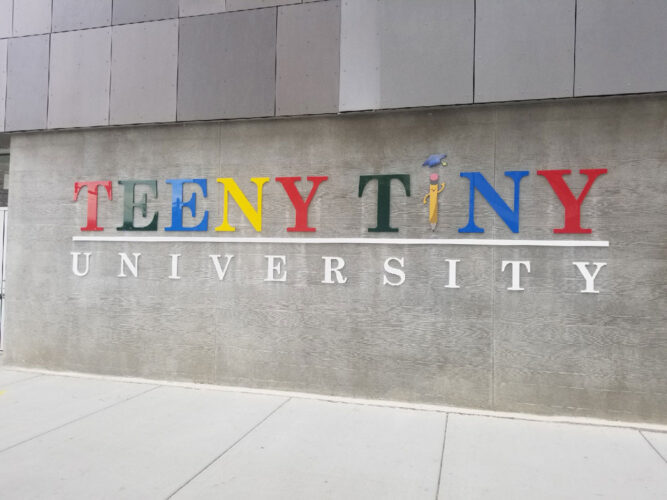 Dimensional Lettering - Teeny Tiny University