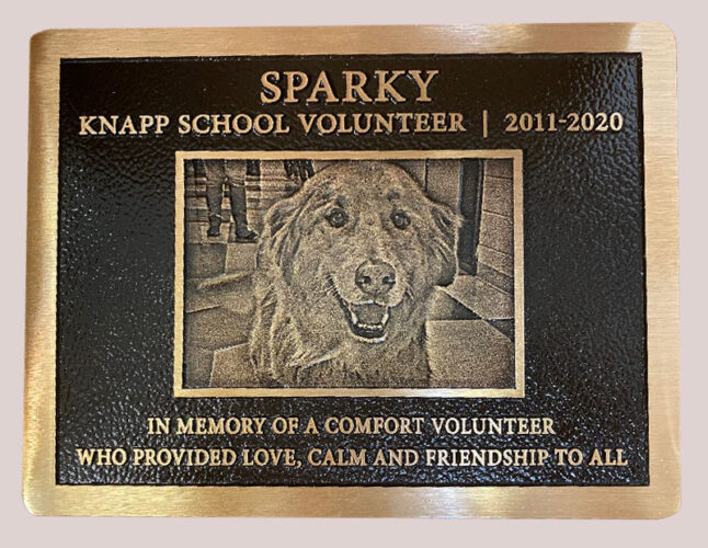 Dedication Plaque: Sparky, Knapp School Volunteer